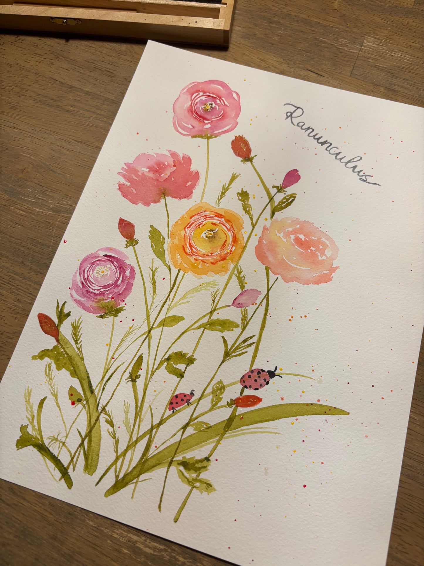 Ranunculus